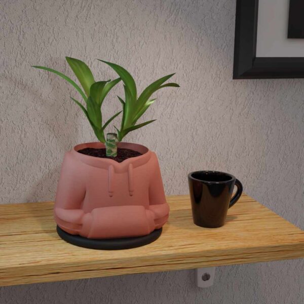Hoodie Planter